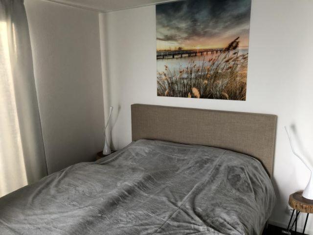 Ferienhaus Zeeland-haus Mit Zaun Hausnr B067 *